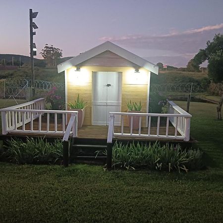 Bed and Breakfast Little Tree Loft 2 Uitenhage Exterior foto