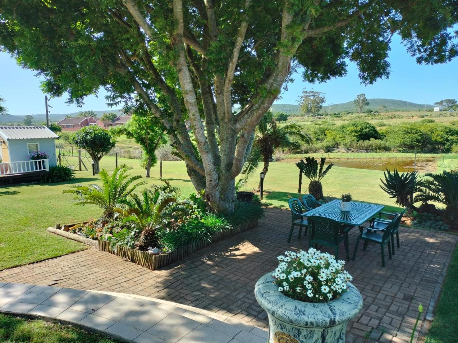 Bed and Breakfast Little Tree Loft 2 Uitenhage Exterior foto